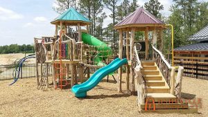 Locust and rhododendron playground in Wendel Falls, NC - Asheville Playgrounds