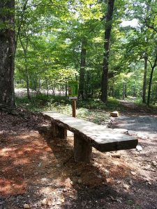 Rock Ridge Park locust benches for disc golf course - Asheville Playgrounds
